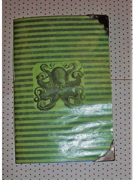 Carnet à couverture transparente Pieuvre