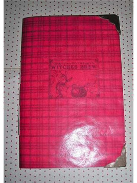 Carnet à couverture transparente Witches brew