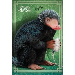 Affiche Fantastic beasts : Niffler