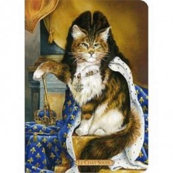 Carnet Le chat Soleil (Séverine Pineaux)