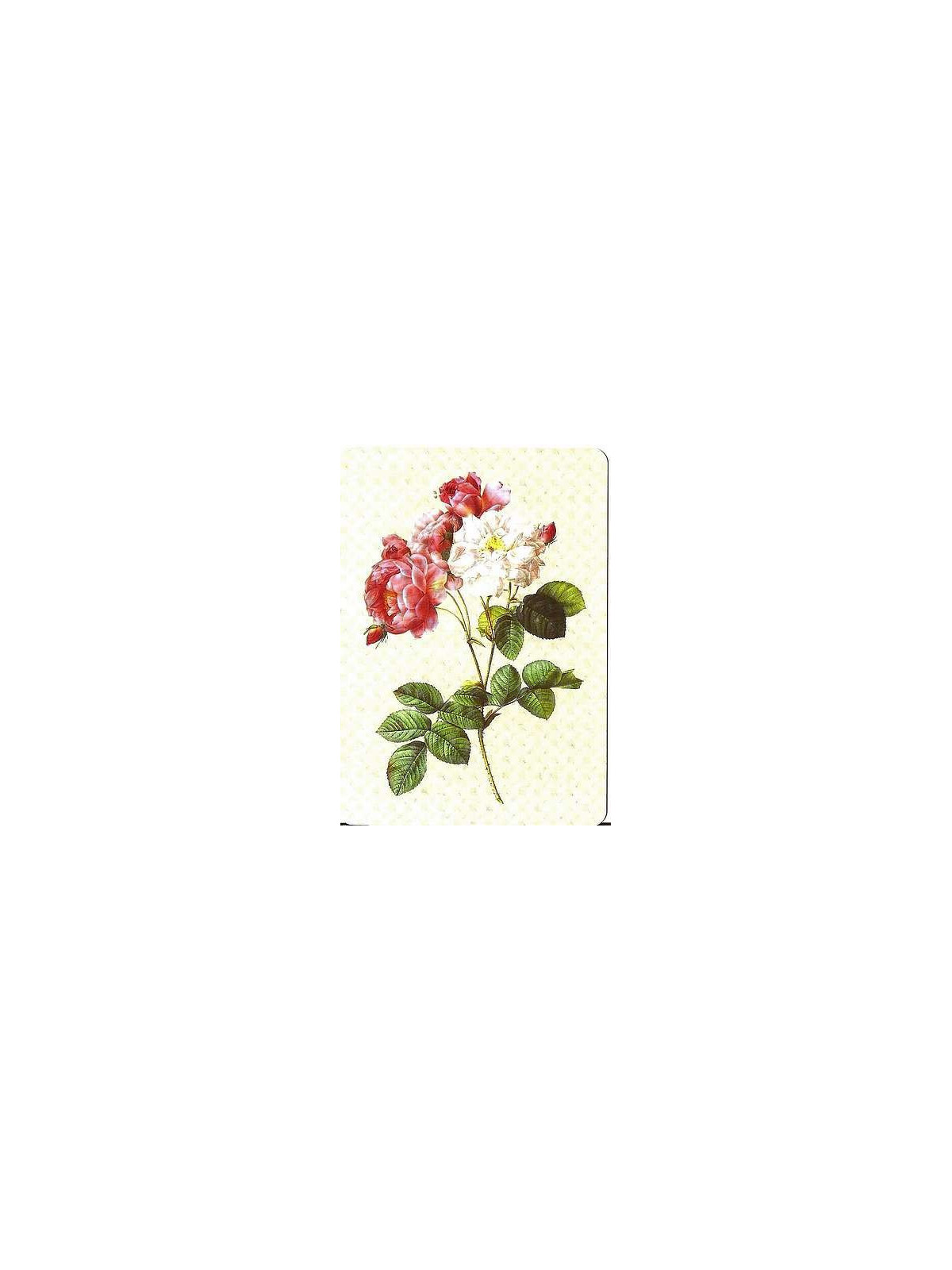 Carte postale rose ancienne