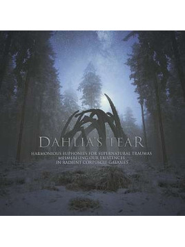 Harmonious euphonies for supernatural traumas… (Ltd edition CD)