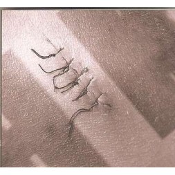 Discographie 2001/2005 (2 CD)