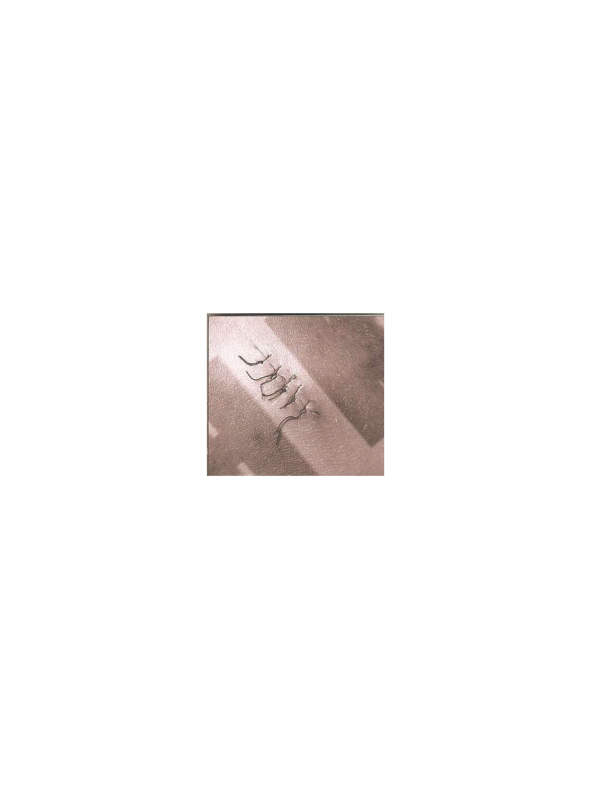 Discographie 2001/2005 (2 CD)
