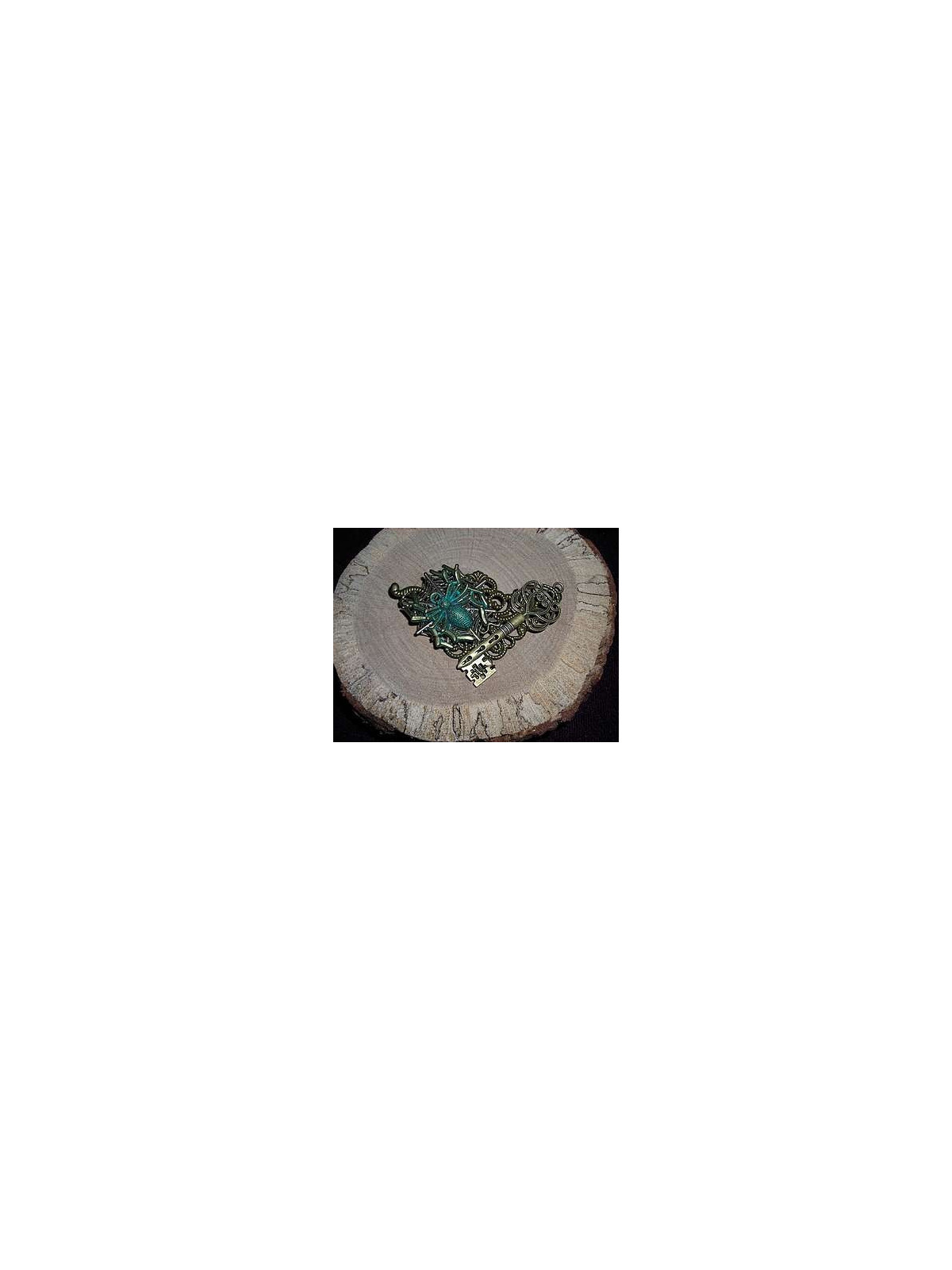 Broche araignée