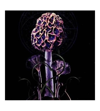 Le disque de Blut aus Nord : Hallucinogen est en stock en CD à Ciel rouge, disquaire à Dijon