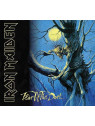 le CD de Iron maiden : Fear of the dark est en stock à Ciel rouge, disquaire indépendant à Dijon