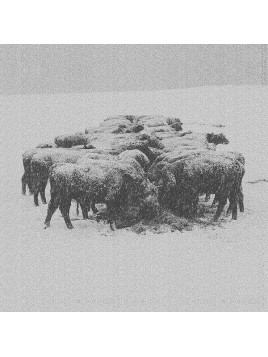 BVdub : Ten times the world lied (Ltd edition CD)
