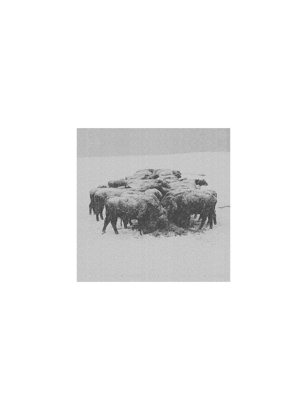 BVdub : Ten times the world lied (Ltd edition CD)