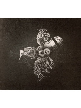 Your life on hold : Echoes from the bardo (CD)