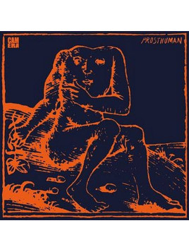Camera : Prosthuman (CD)