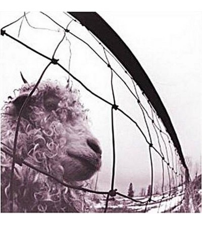 Le disque de Pearl jam : Vs est disponible en vinyle à Ciel rouge, disquaire à Dijon