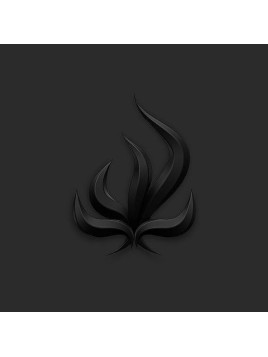 Bury tomorrow : Black flame (CD)