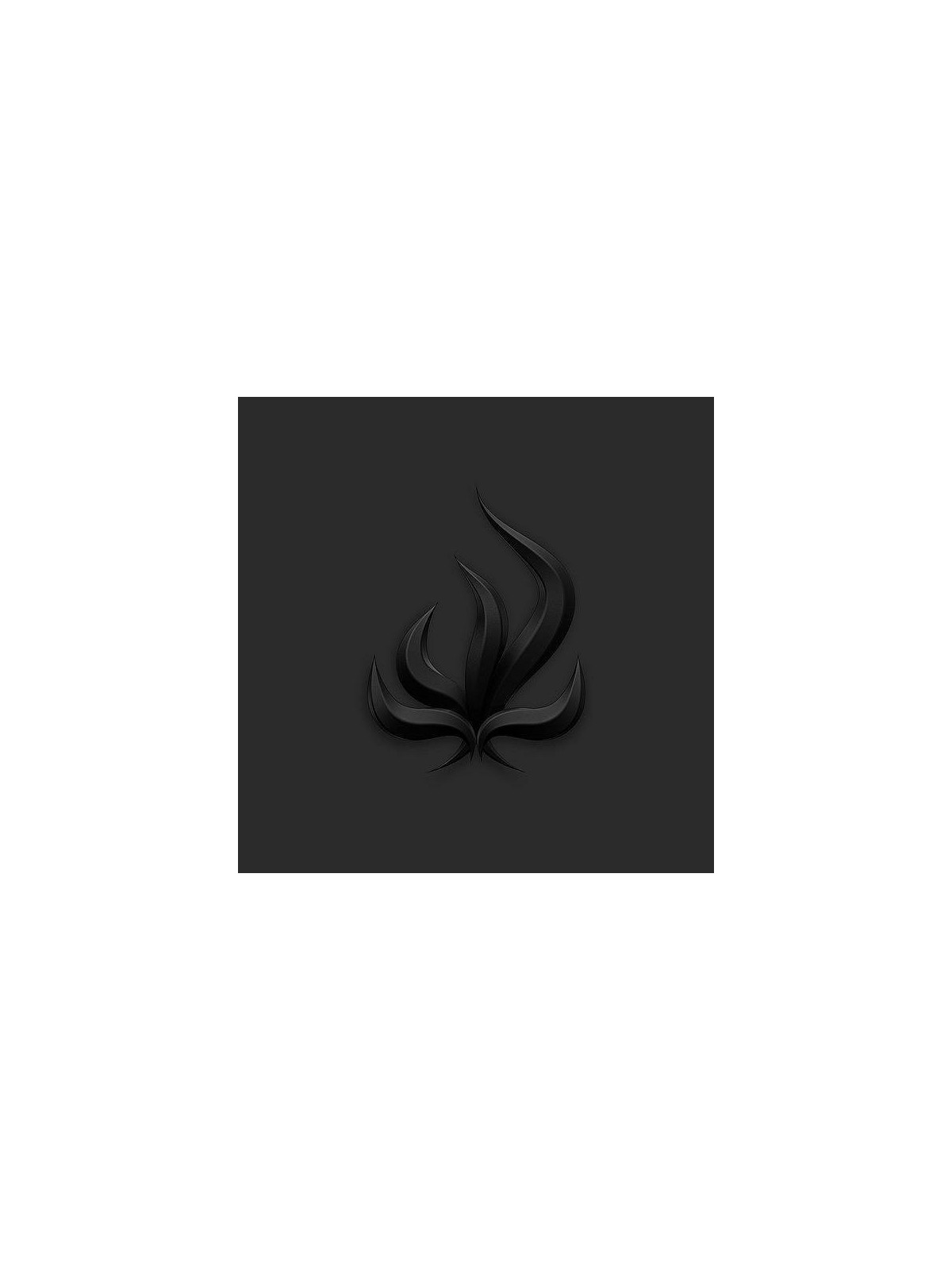 Bury tomorrow : Black flame (CD)