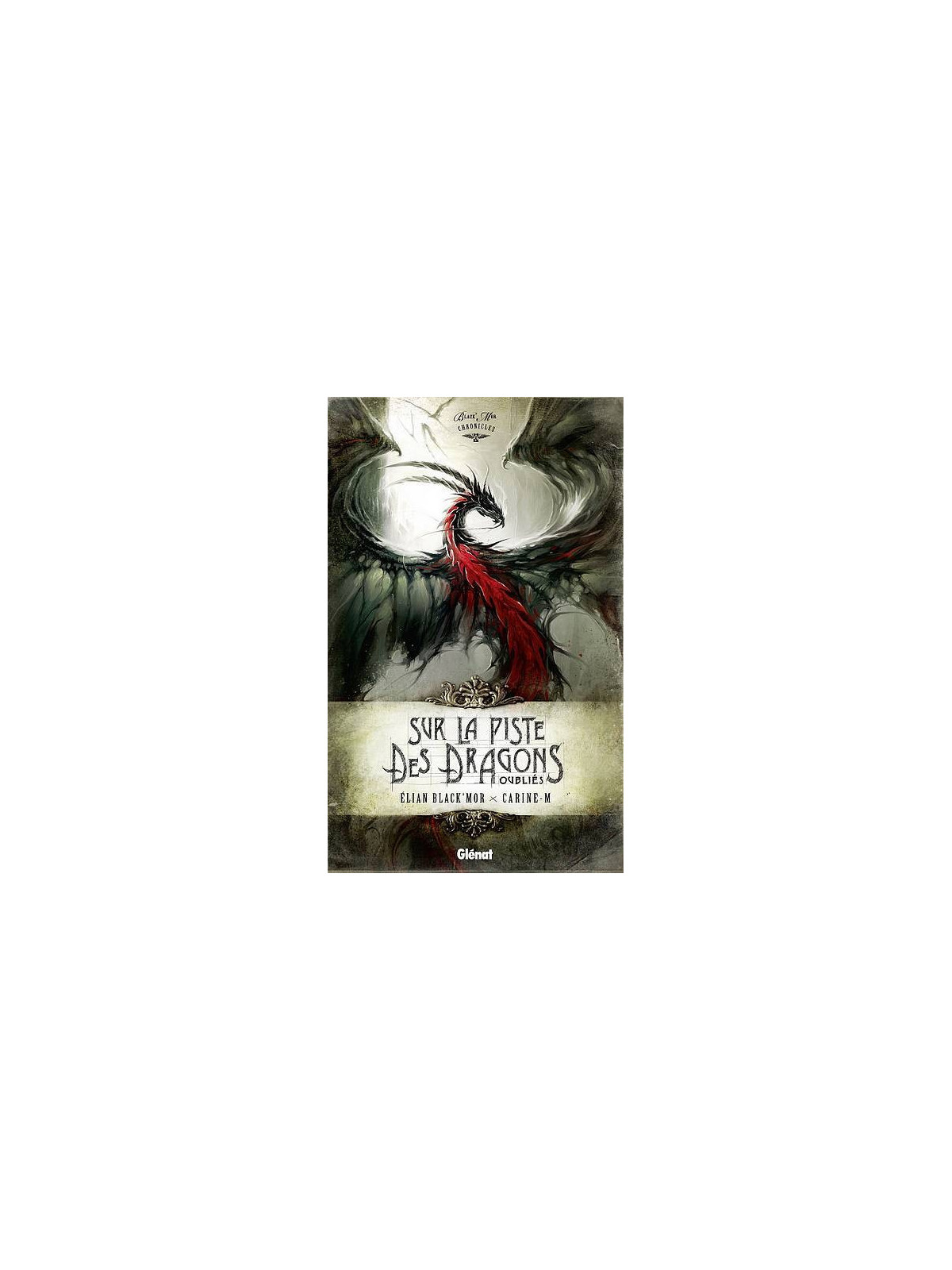 le livre de Elian Black’mor & Carine-M : Sur la piste des dragons oubliés est en stock à la librairi ciel rouge à dijon