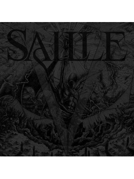 Saille : V (Ltd edition CD)