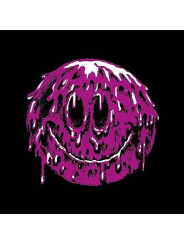 Crocodiles : Best of shitty times (12'' vinyl)