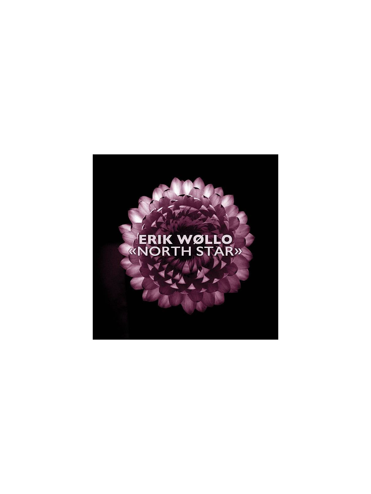 Erik Wollo : North star (CD)