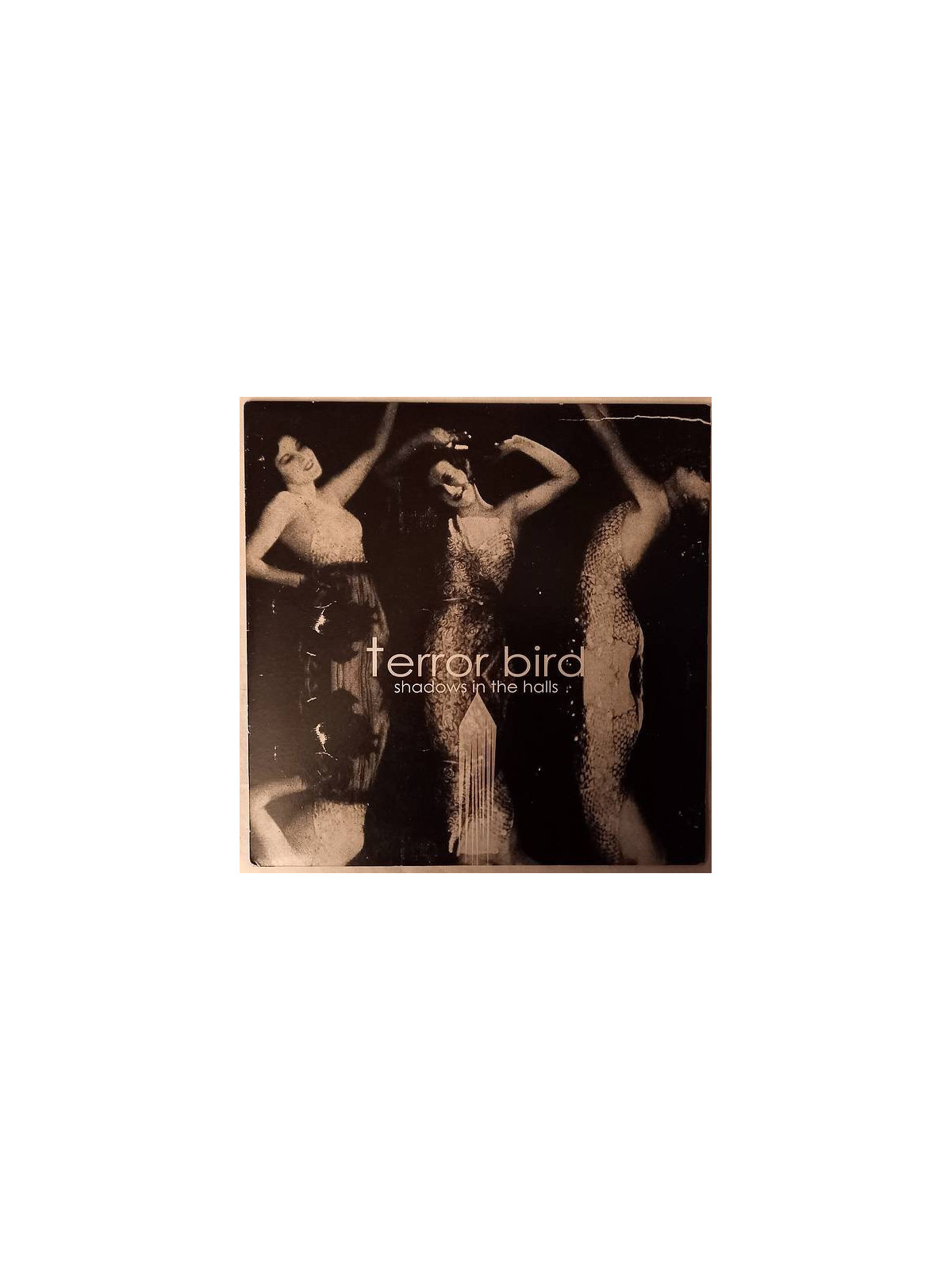 Terror bird : Shadows in the halls (Ltd edition 7’’ vinyl)