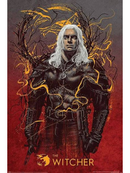 Affiche The witcher : Geralt the wolf