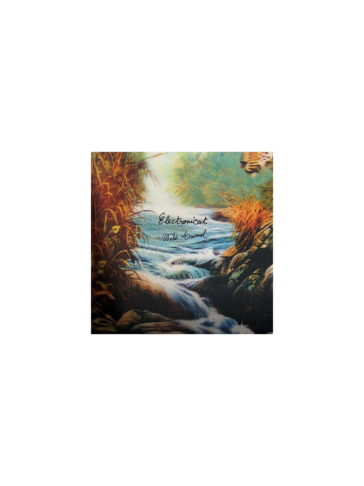 Le disque de Electronicat : Wild animal est en stock en vinyle à ciel rouge, disquaire à Dijon.