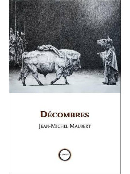 Jean-Michel Maubert : Décombres