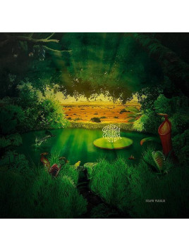Green desert water : Solar plexus (CD)