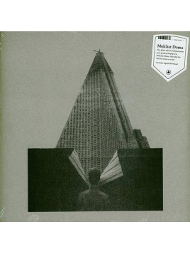 le disque de Molchat doma : S krysh nashikh domov est en stock en vinyle à la boutique Ciel rouge à dijon.