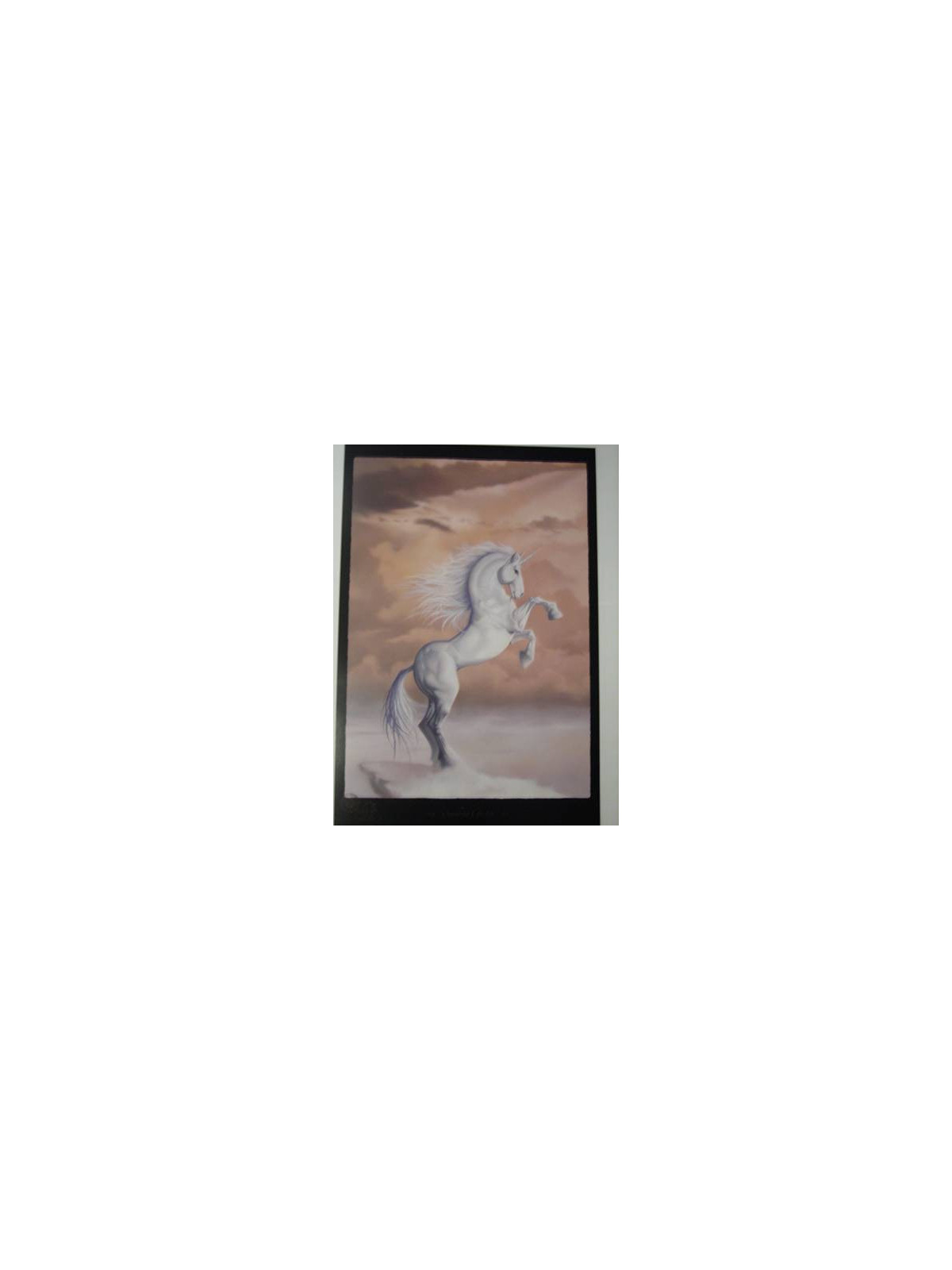 Licorne