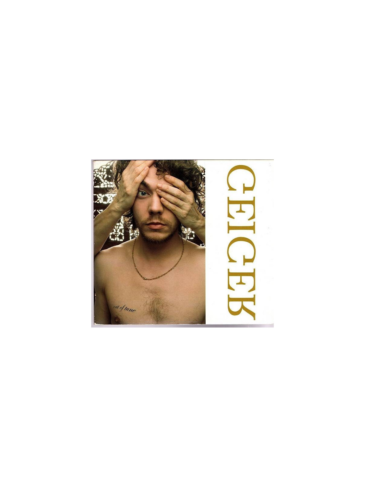Geiger : Out of tune (CD)