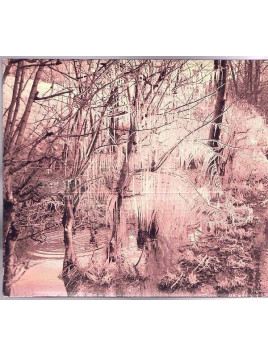 Esben and the witch : Violet cries (CD)