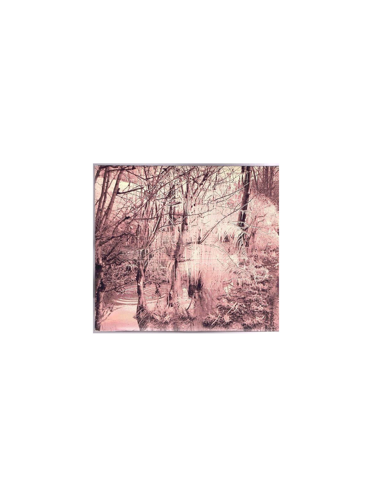 Esben and the witch : Violet cries (CD)