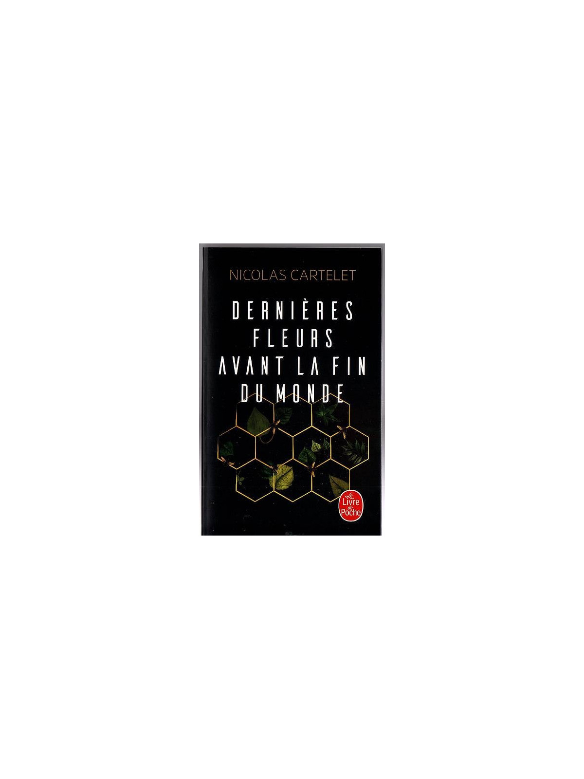 Nicolas Cartelet : Dernières fleurs avant la fin du monde