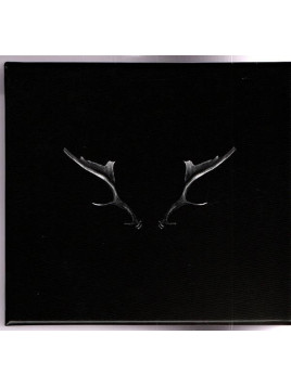 Julia Stone : By the horns (Ltd edition CD)