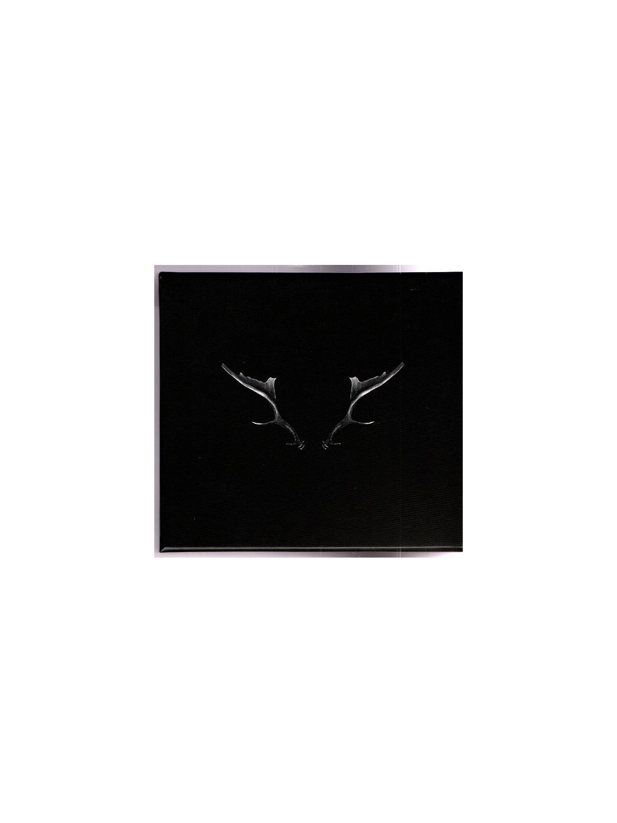 Julia Stone : By the horns (Ltd edition CD)