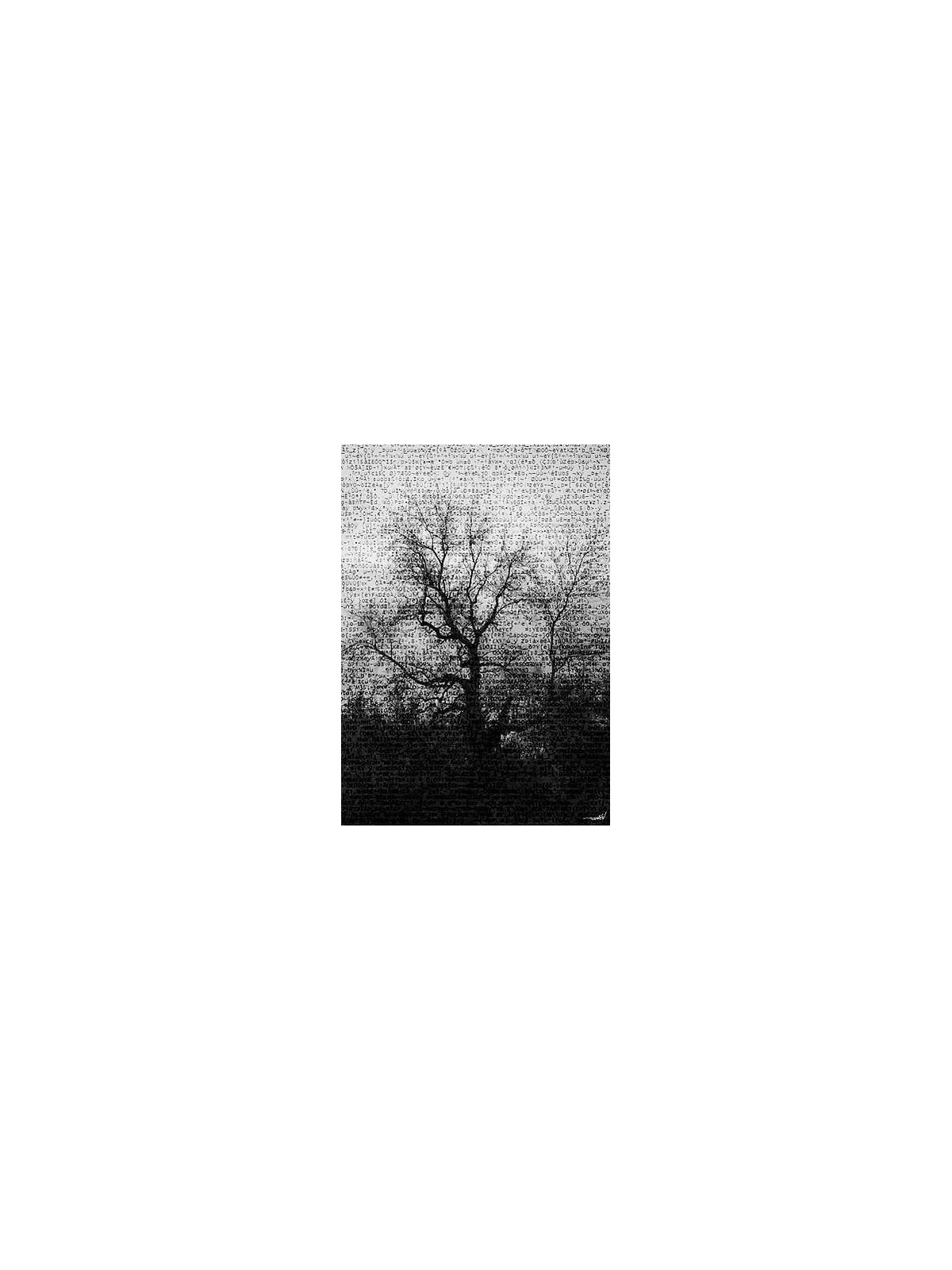 Codex illusory