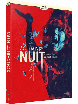 Go Yeong-Nam : Soudain dans la nuit (Blu-ray)
