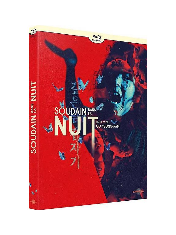 Go Yeong-Nam : Soudain dans la nuit (Blu-ray)