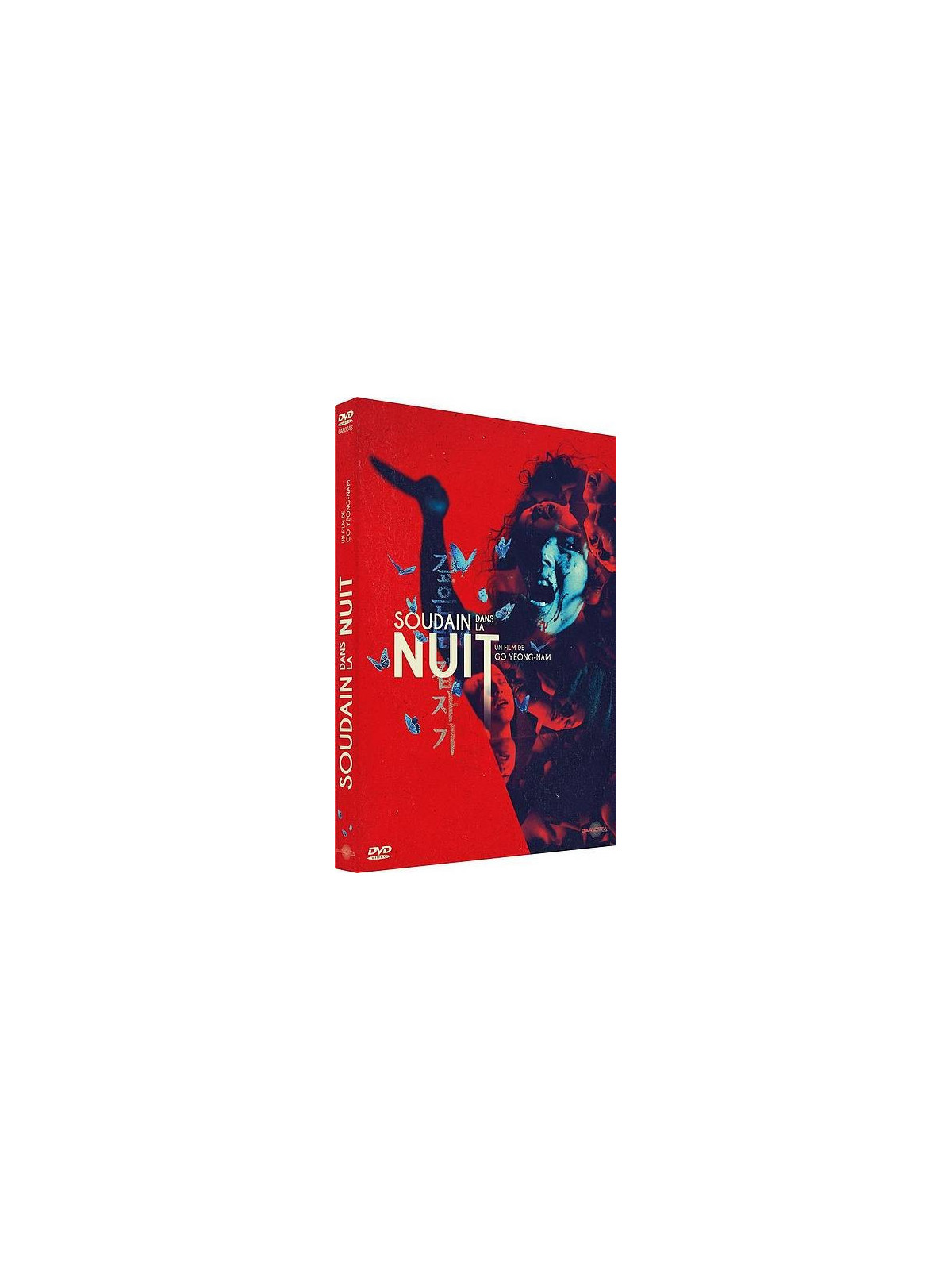 Go Yeong-Nam : Soudain dans la nuit (DVD)