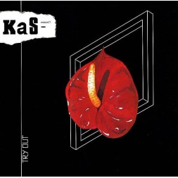 Kas product disque Try out en stock en vinyle à ciel rouge dijon