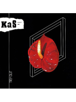 Kas product disque Try out en stock en vinyle à ciel rouge dijon