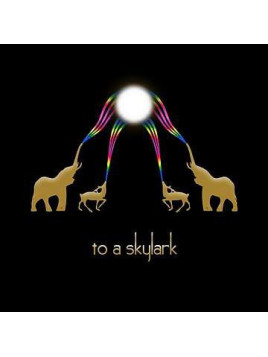 To a skylark