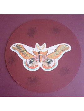 Carte ronde Papillon