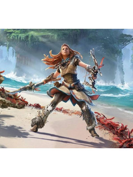 Le disque de Horizon forbidden west est disponible en vinyle à Ciel rouge, disquaire à Dijon