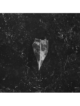 Bees made honey in the vein tree : Aion (CD)