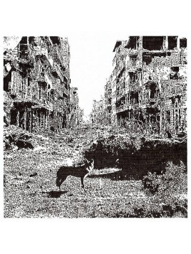 Vox low : Keep on falling (12’’ vinyl)