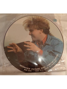 Cocteau twins : Interview picture disc (12’’ vinyl)