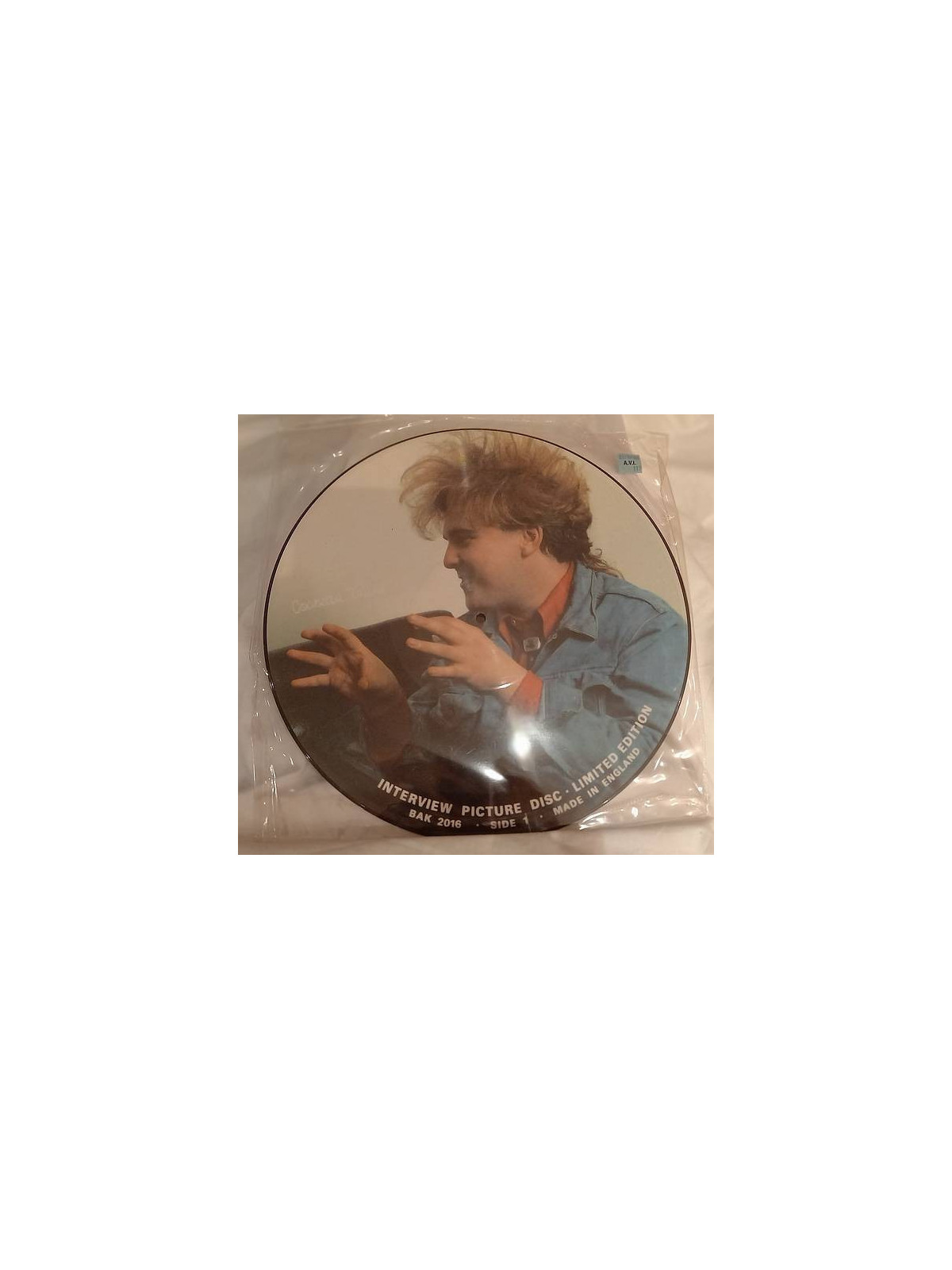 Cocteau twins : Interview picture disc (12’’ vinyl)