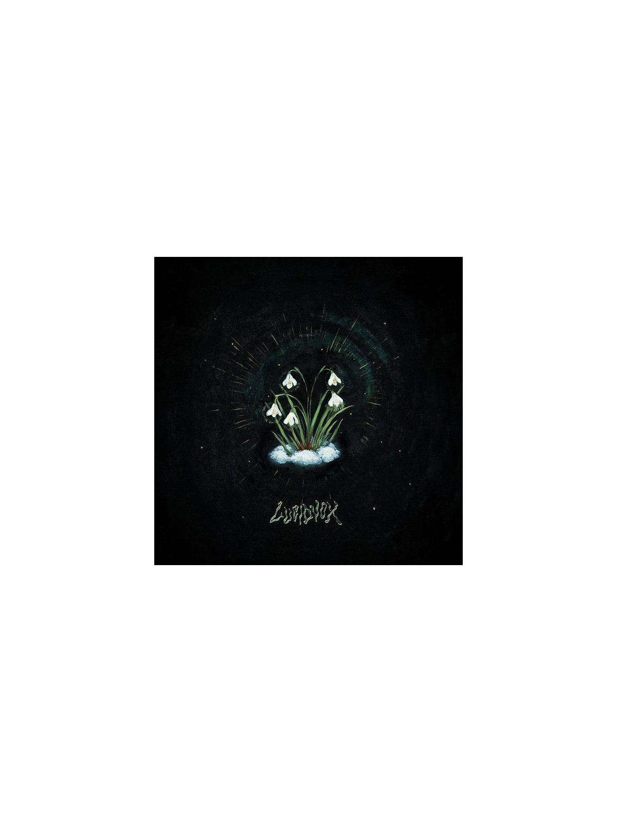 Lucidvox : That’s what remained (CD)