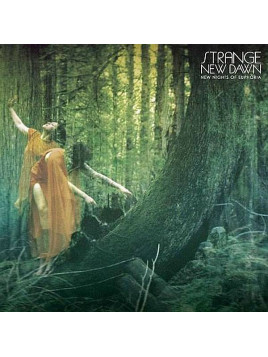 Strange new dawn : New nights of euphoria (CD)